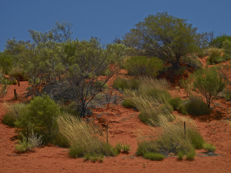 Northern Territory